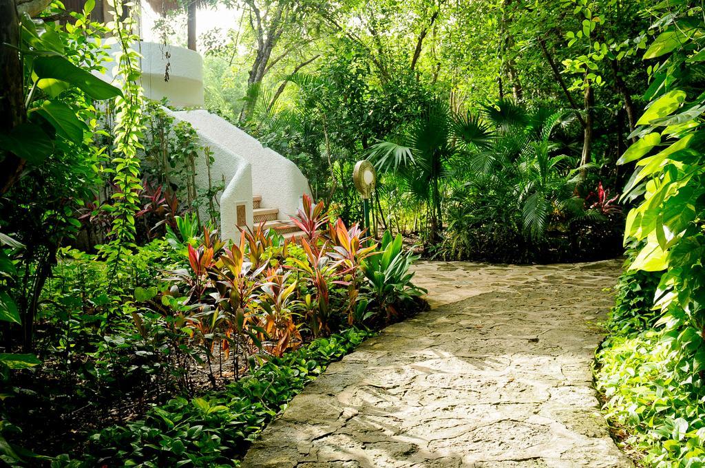 Amarte Maroma Hotel Eco Boutique Spa Punta Maroma 외부 사진
