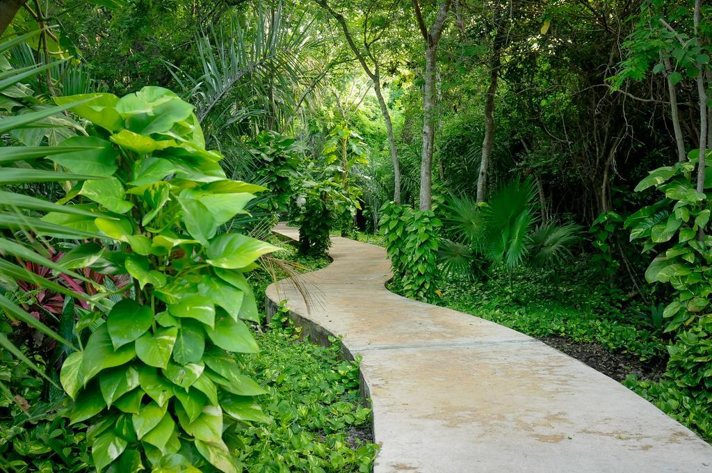 Amarte Maroma Hotel Eco Boutique Spa Punta Maroma 외부 사진