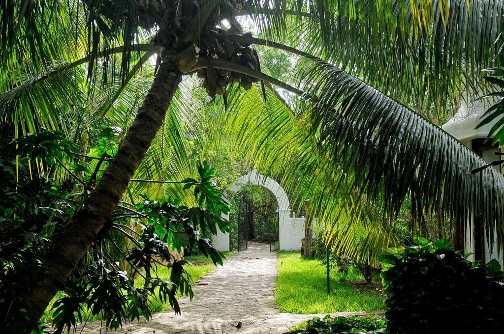 Amarte Maroma Hotel Eco Boutique Spa Punta Maroma 외부 사진