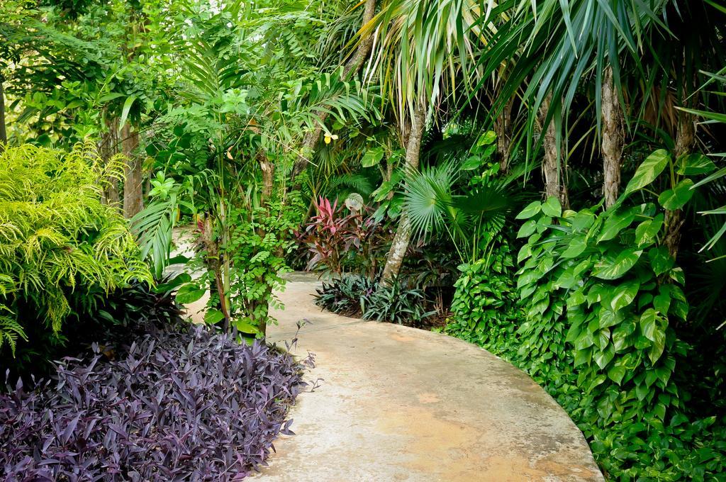Amarte Maroma Hotel Eco Boutique Spa Punta Maroma 외부 사진