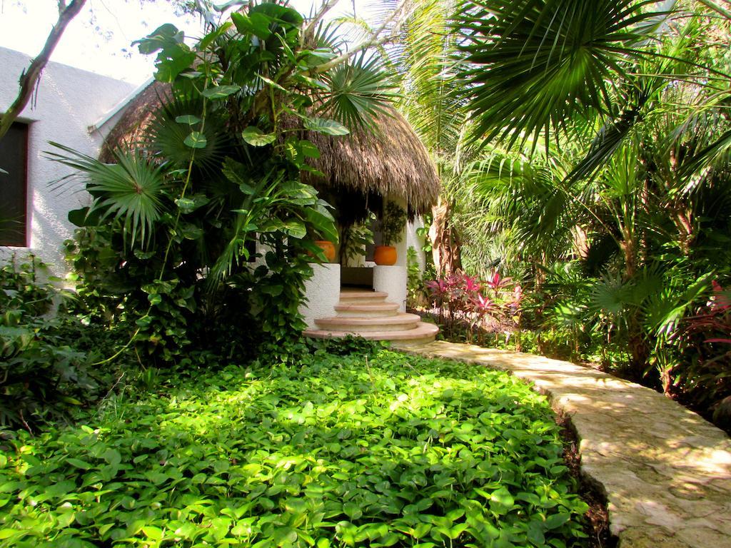 Amarte Maroma Hotel Eco Boutique Spa Punta Maroma 외부 사진