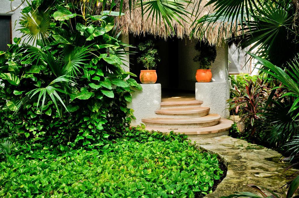 Amarte Maroma Hotel Eco Boutique Spa Punta Maroma 객실 사진